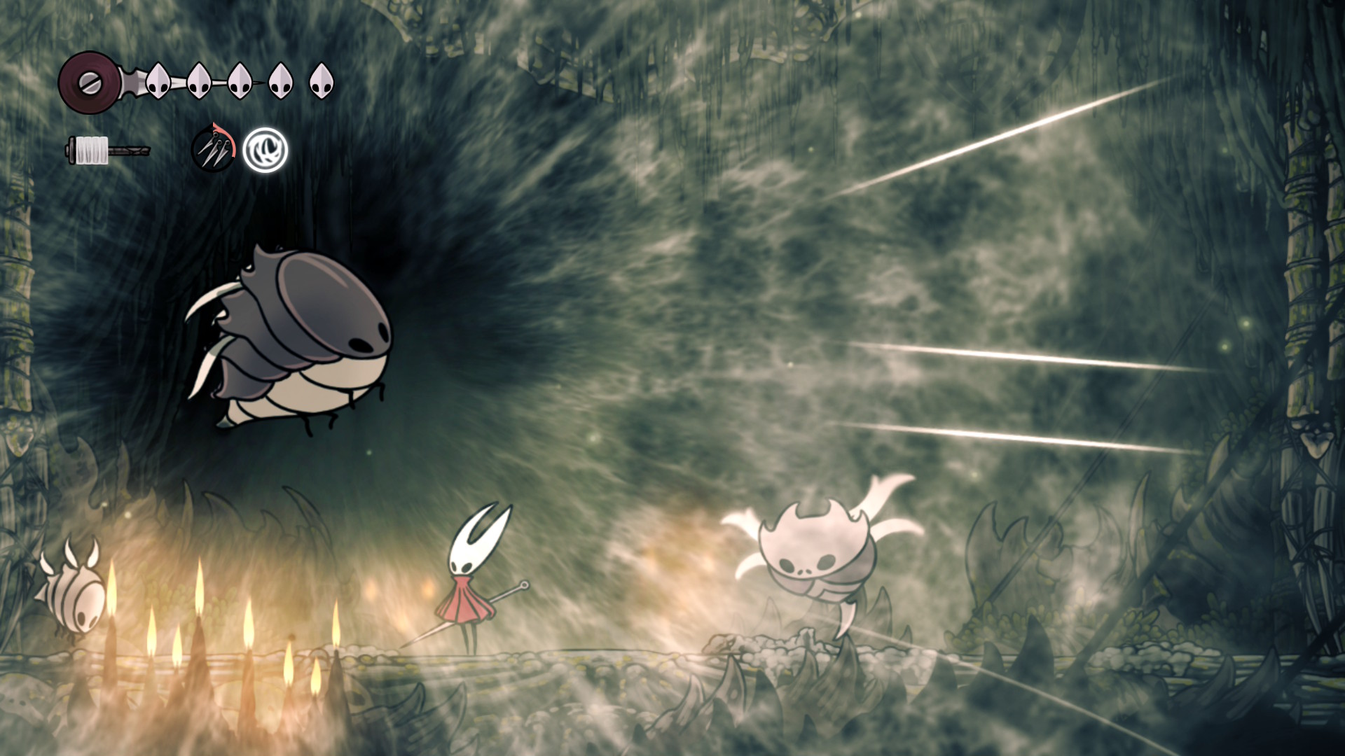 흉포한 야수파리